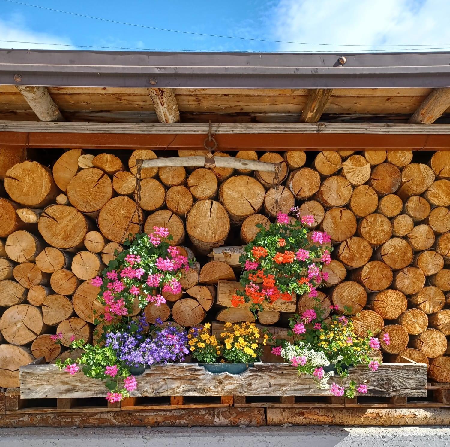 Locanda Da Pierina Santo Stefano Di Cadore Εξωτερικό φωτογραφία